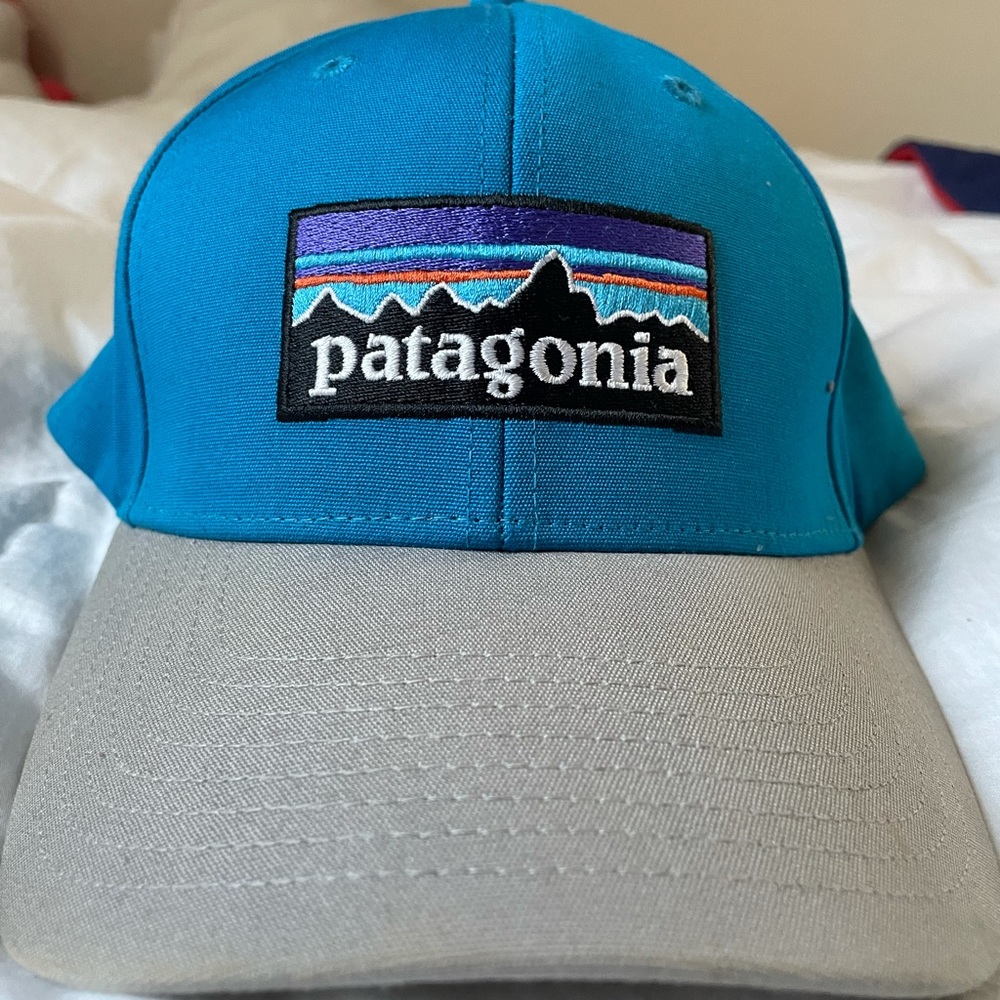 Patagonia Snap-Back Hat